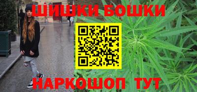 молекула духа Камышлов